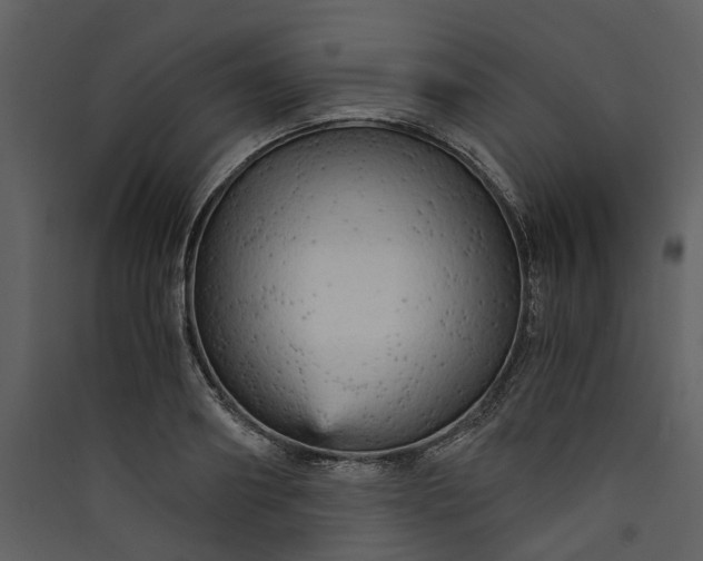 X0000089930890200707131430