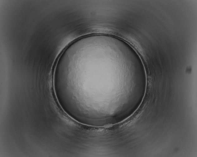 X0000089930891200707131430