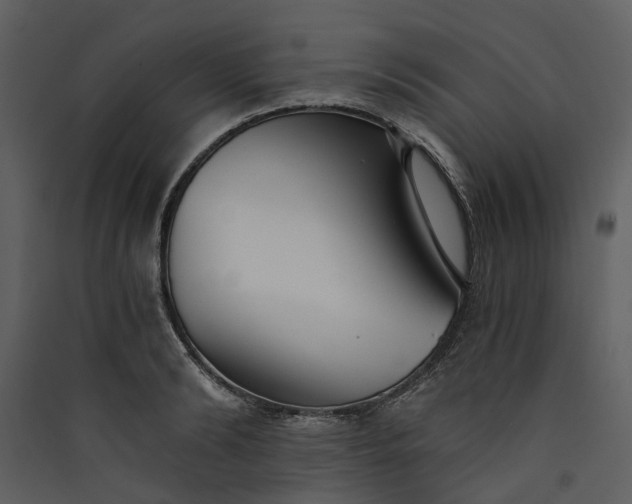 X0000089930894200707131430