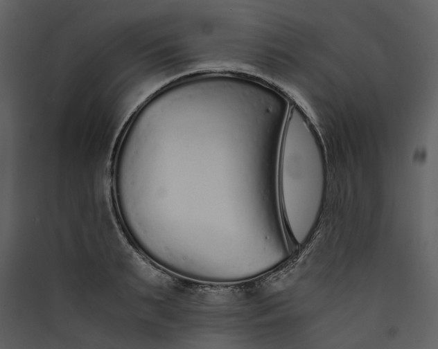 X0000089930895200707131430