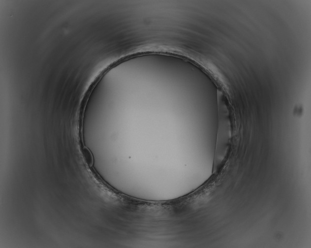 X0000089930896200707131430