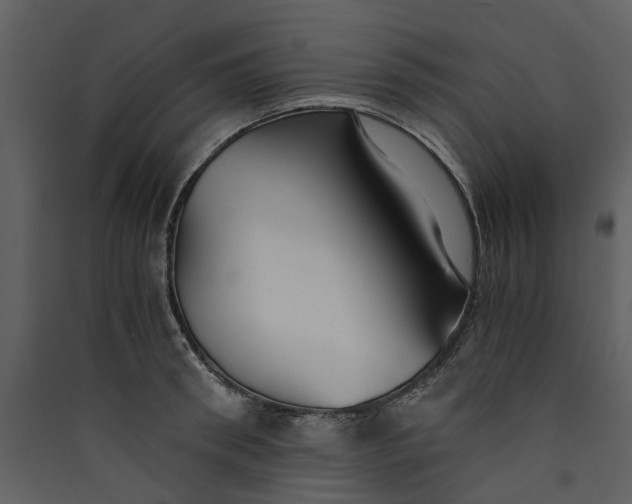 X0000089930898200707131430