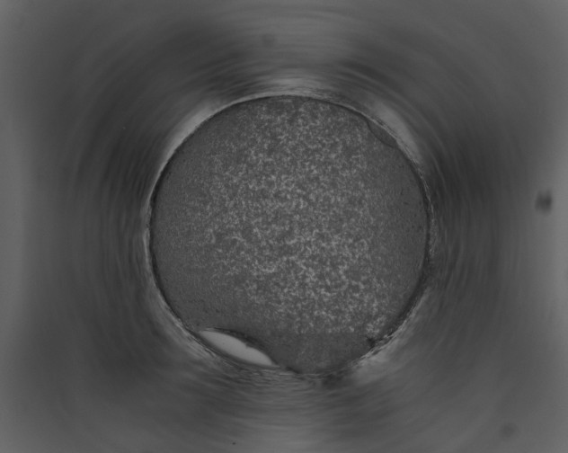 X0000089930899200707131429