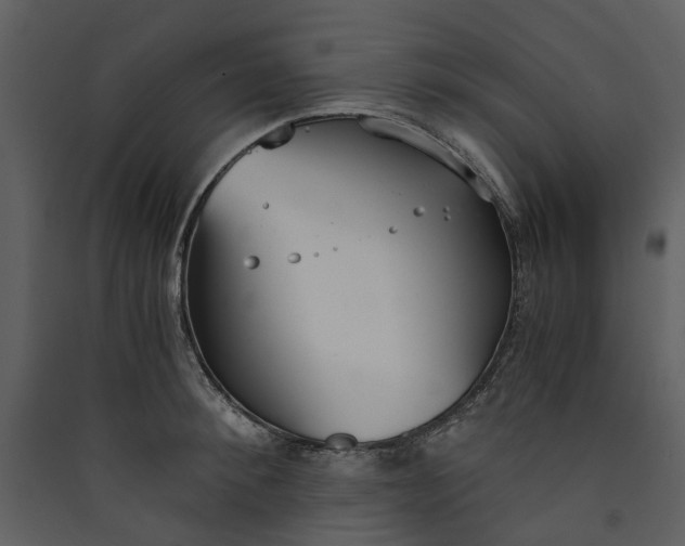 X0000089930900200707131429