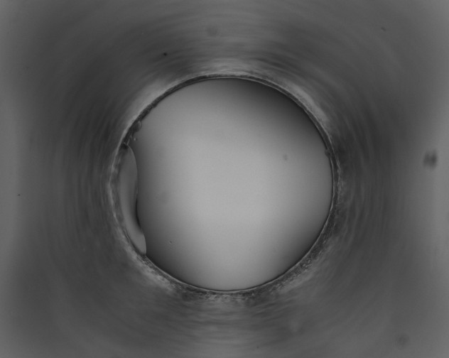 X0000089930901200707131429