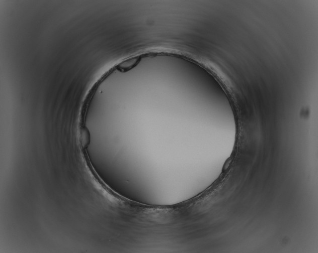 X0000089930902200707131429