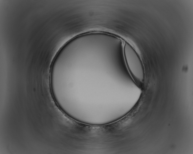 X0000089930903200707131429