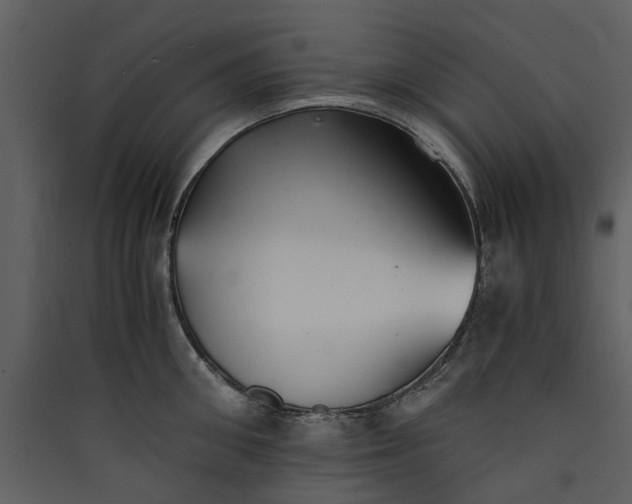 X0000089930906200707131429