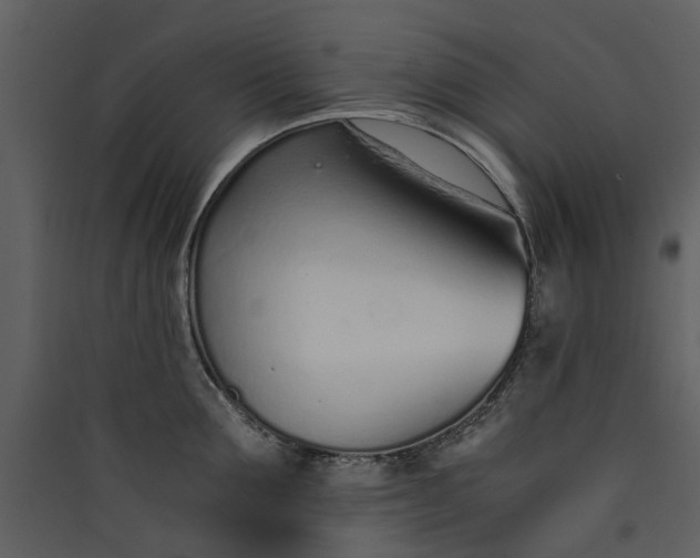 X0000089930907200707131429