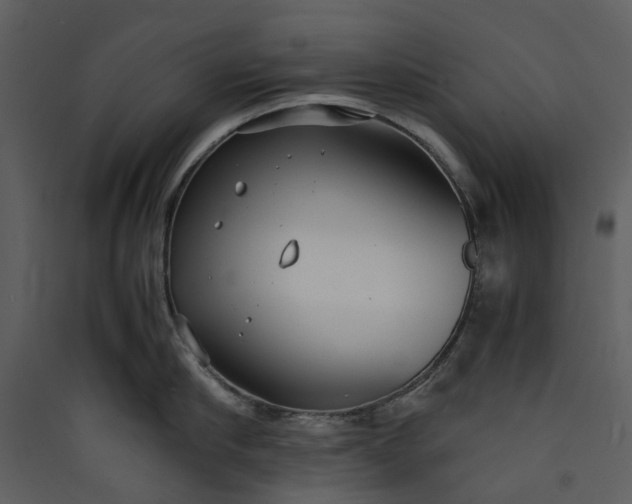 X0000089930910200707131429