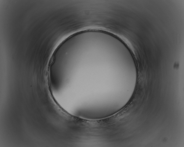 X0000089930911200707131429