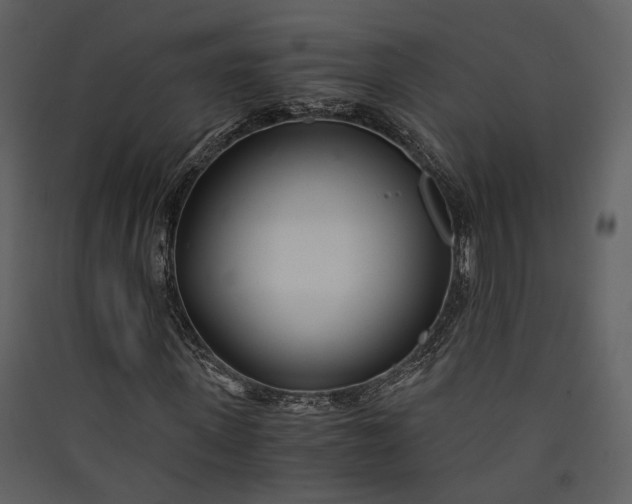 X0000089930915200707131429