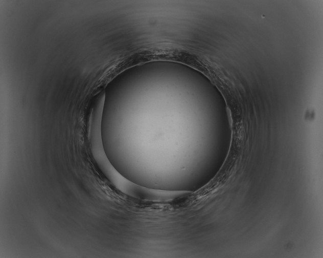 X0000089930916200707131429