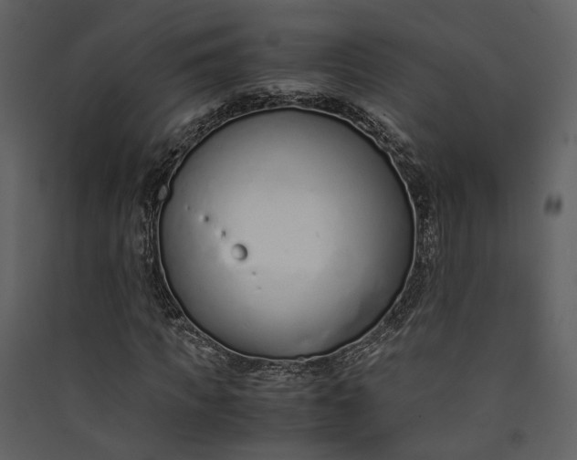 X0000089930917200707131429