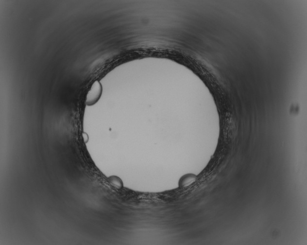 X0000089930918200707131429