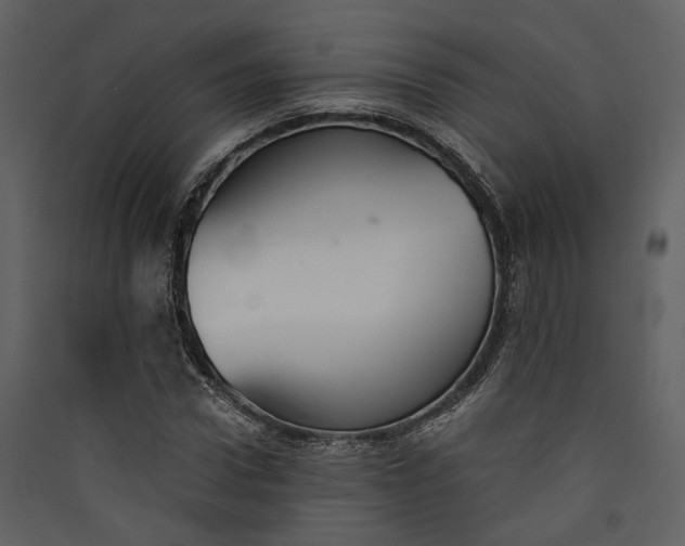 X0000089930922200707131429