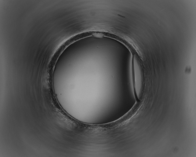 X0000089930926200707131429