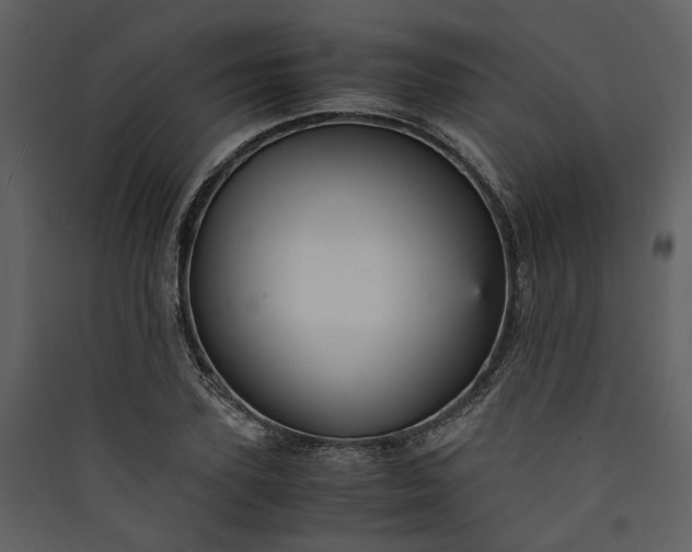 X0000089930931200707131429