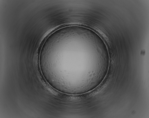 X0000089930933200707131429