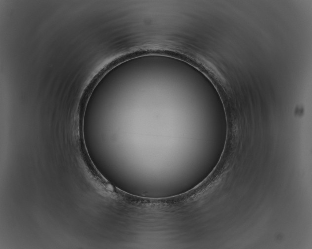 X0000089930934200707131429