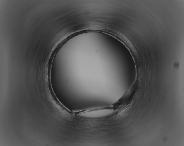 X0000089930939200707131429