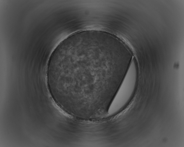 X0000089930941200707131429