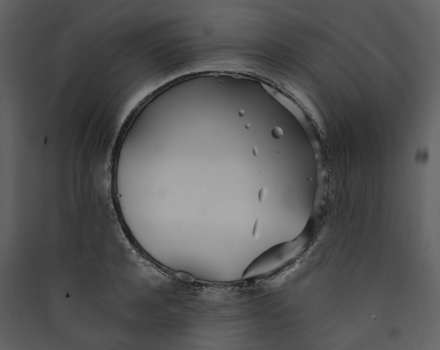 X0000089930944200707131429