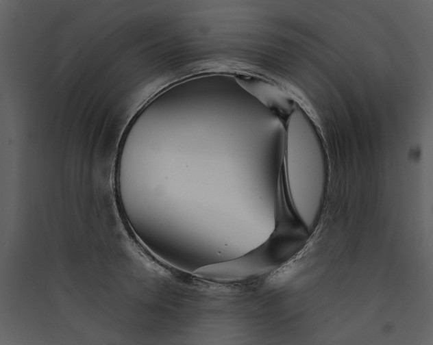 X0000089930946200707131429