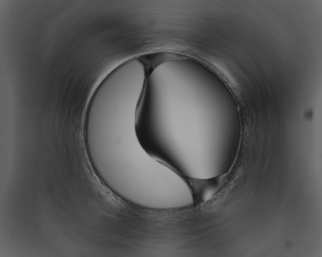 X0000089930948200707131429