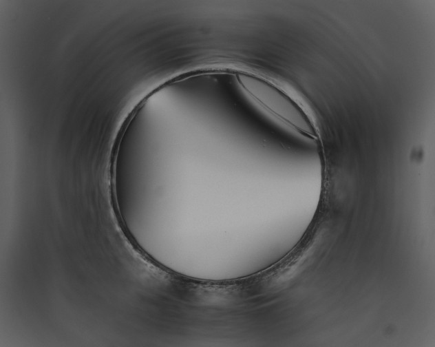 X0000089930951200707131429