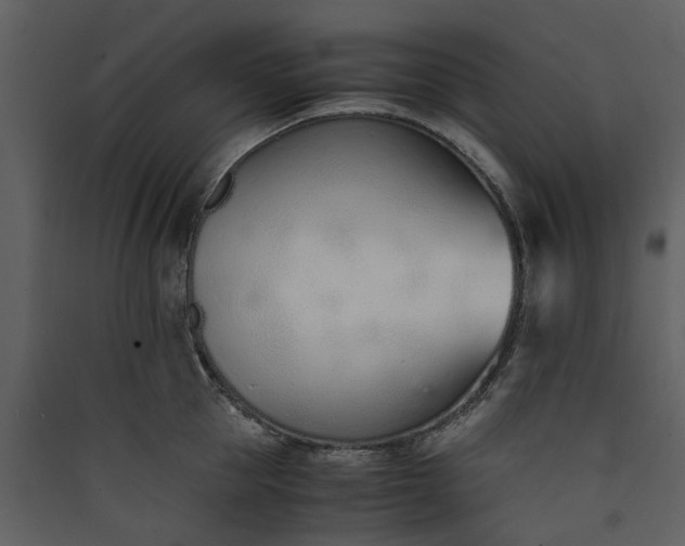 X0000089930953200707131429