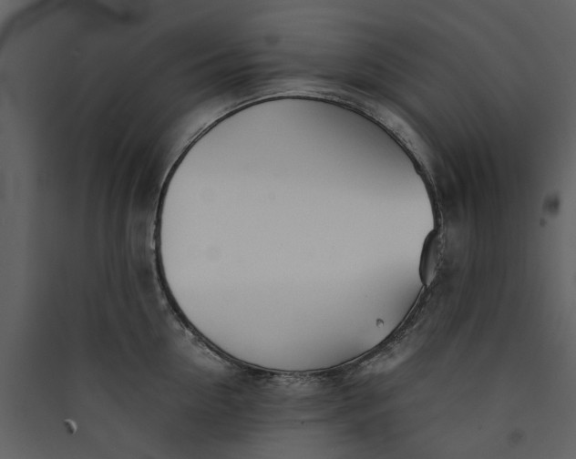 X0000089930954200707131429