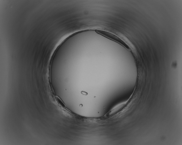 X0000089930956200707131429