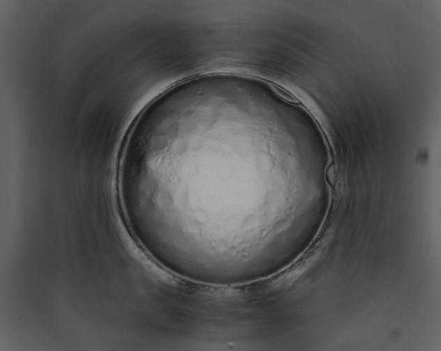 X0000089930957200707131429