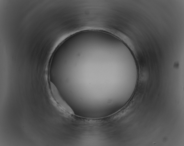 X0000089930958200707131429