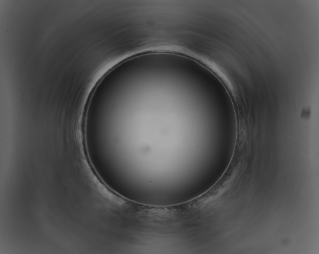 X0000089930959200707131429