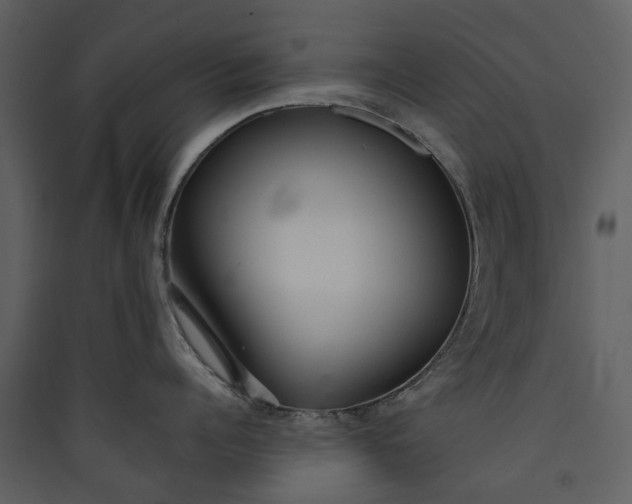 X0000089930960200707131429