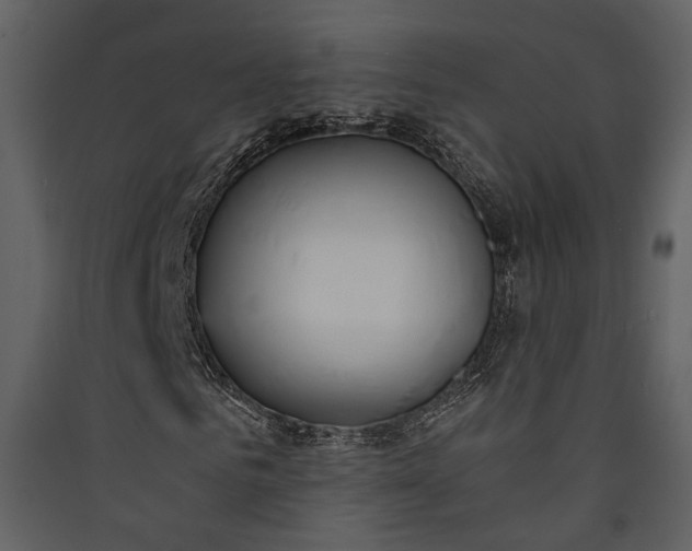 X0000089930961200707131429