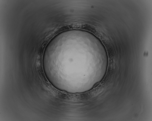 X0000089930962200707131429