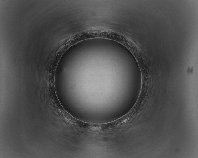 X0000089930965200707131428