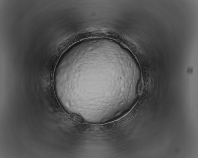 X0000089930966200707131428