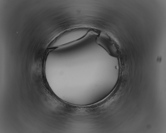 X0000089930969200707131428