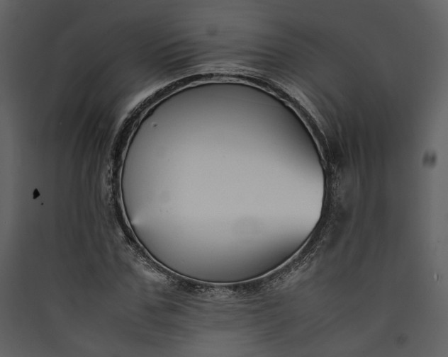 X0000089930971200707131428