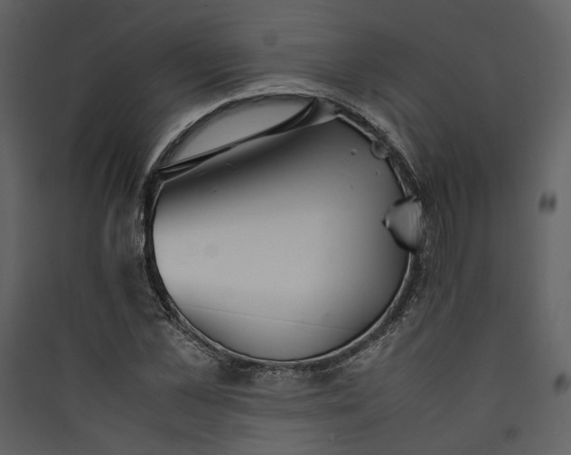 X0000089930973200707131428