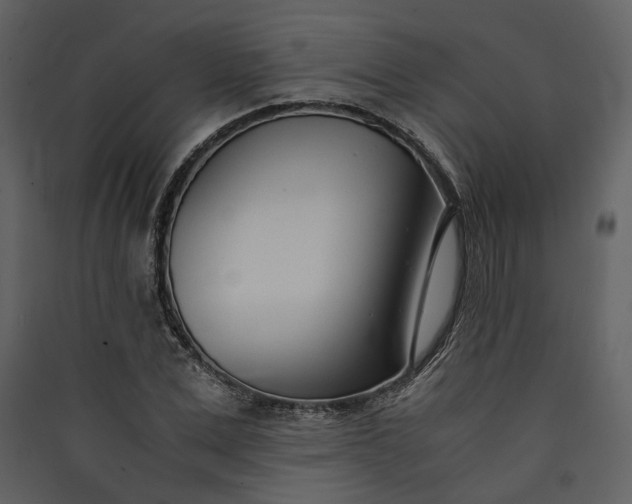 X0000089930975200707131428