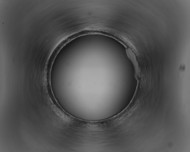 X0000089930976200707131428