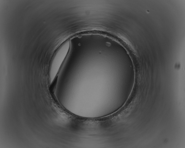 X0000089930977200707131428