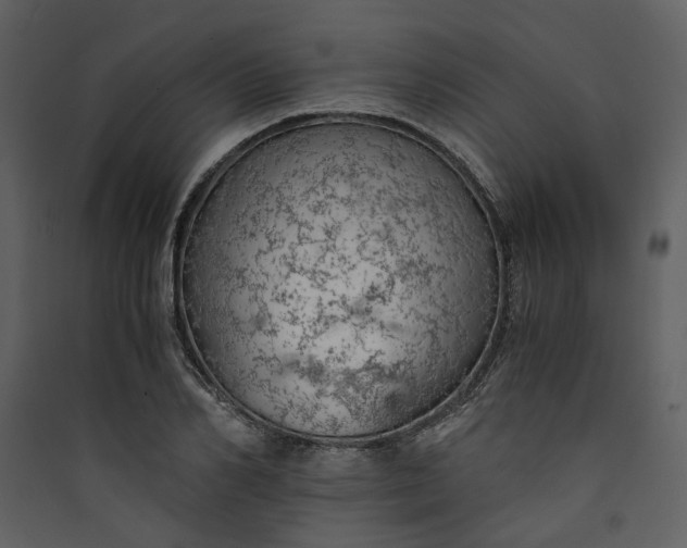 X0000089930982200707131428