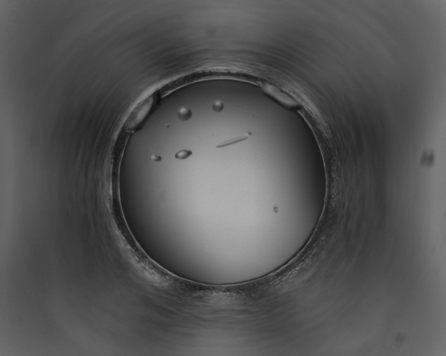 X0000089930984200707131428