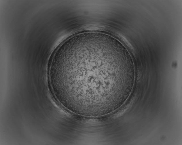X0000089930986200707131428